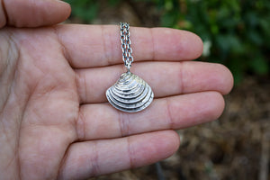 Beach Comber Cockle Shell Necklace