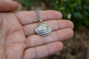 Beach Comber Cockle Shell Necklace