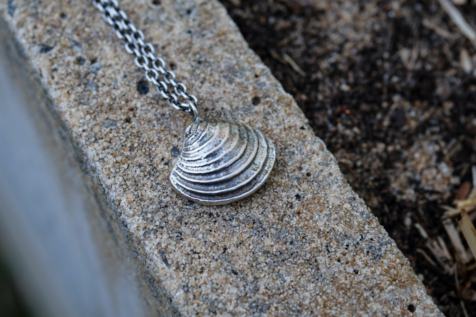 Beach Comber Cockle Shell Necklace