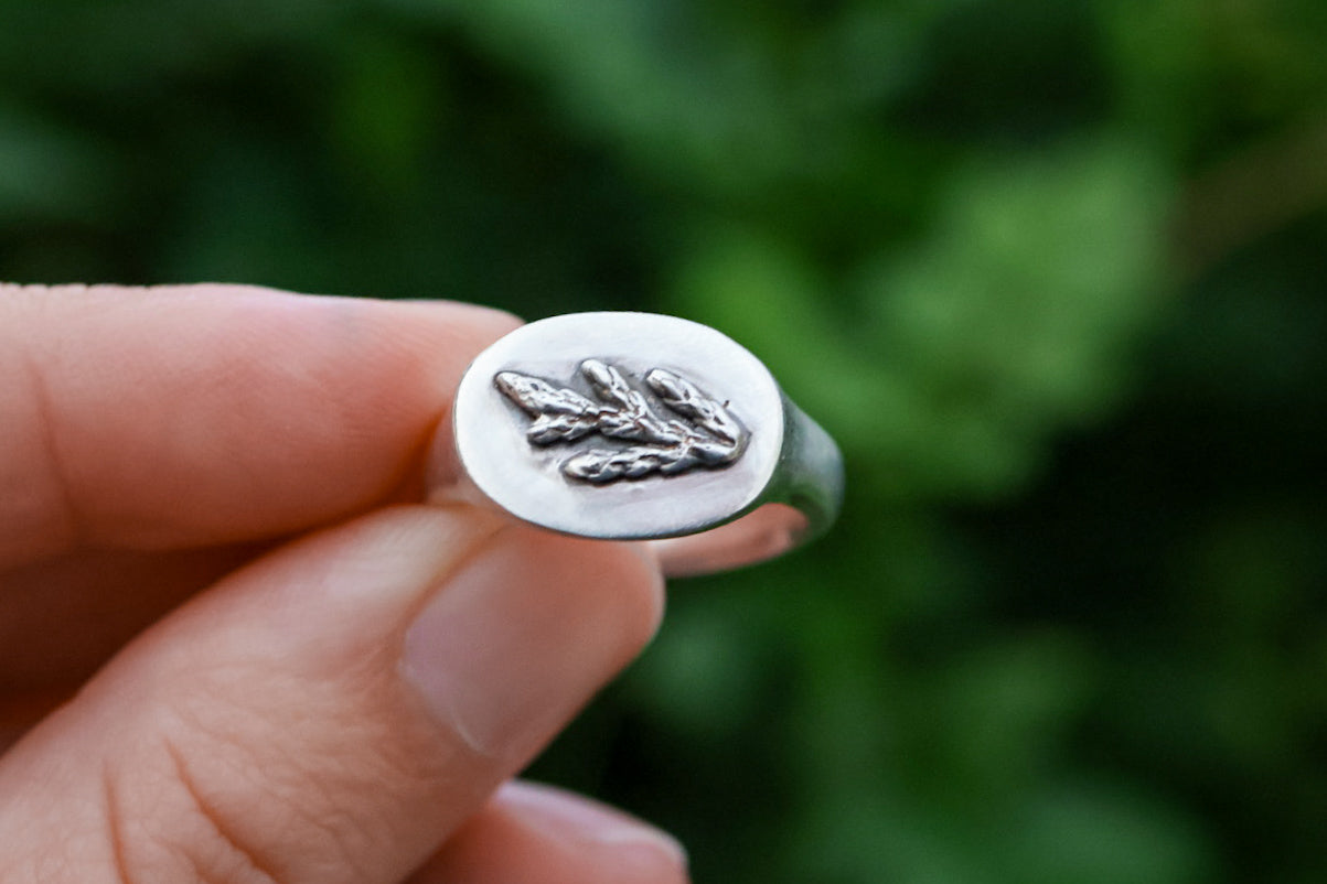 Cedar Signet Ring- Size 7