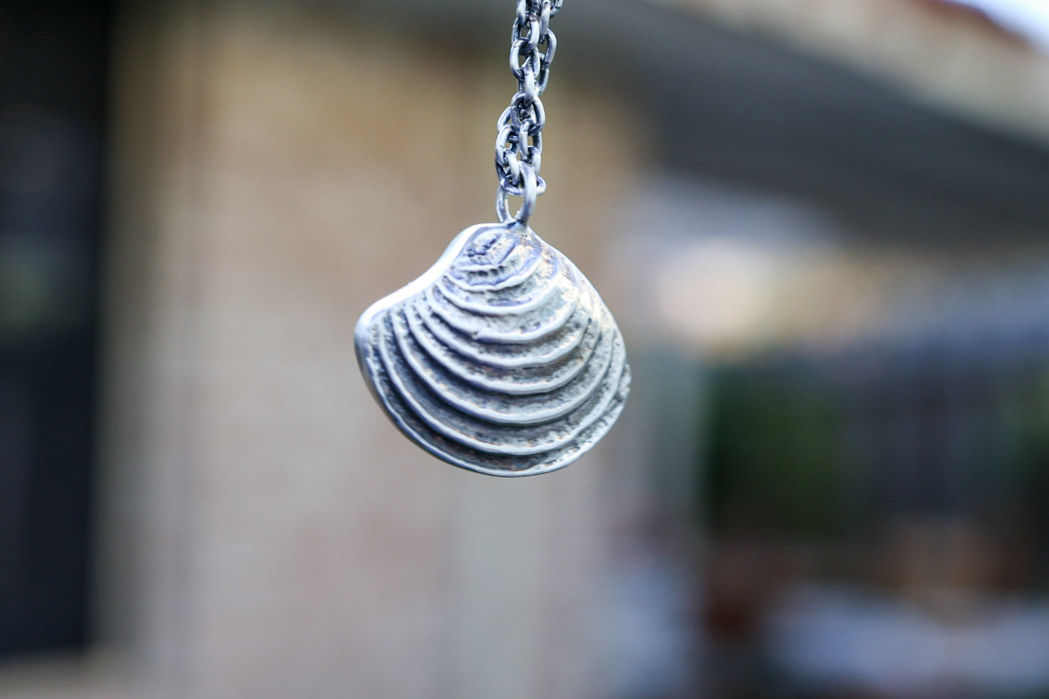 Beach Comber Cockle Shell Necklace