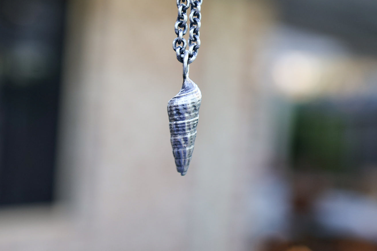 Beach Comber Necklace with Simple Shell