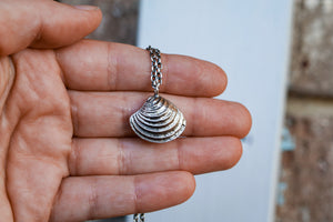 Beach Comber Cockle Shell Necklace