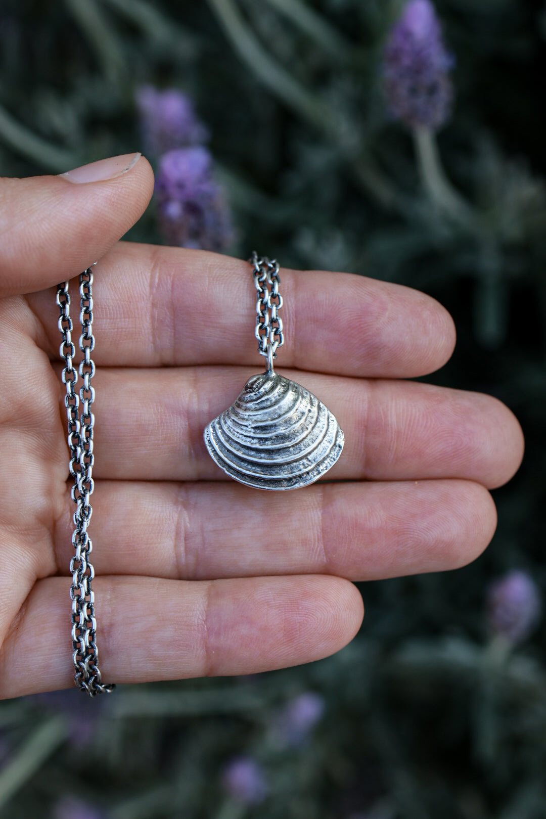 Beach Comber Cockle Shell Necklace