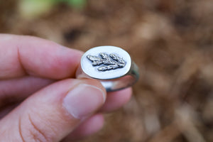 Cedar Signet Ring- Size 7