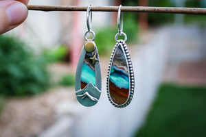 Aurora Skies Reversible Earrings with Opalized Wood