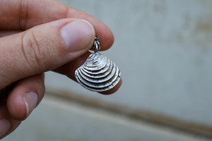 Beach Comber Cockle Shell Necklace