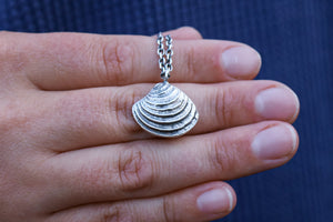 Beach Comber Cockle Shell Necklace