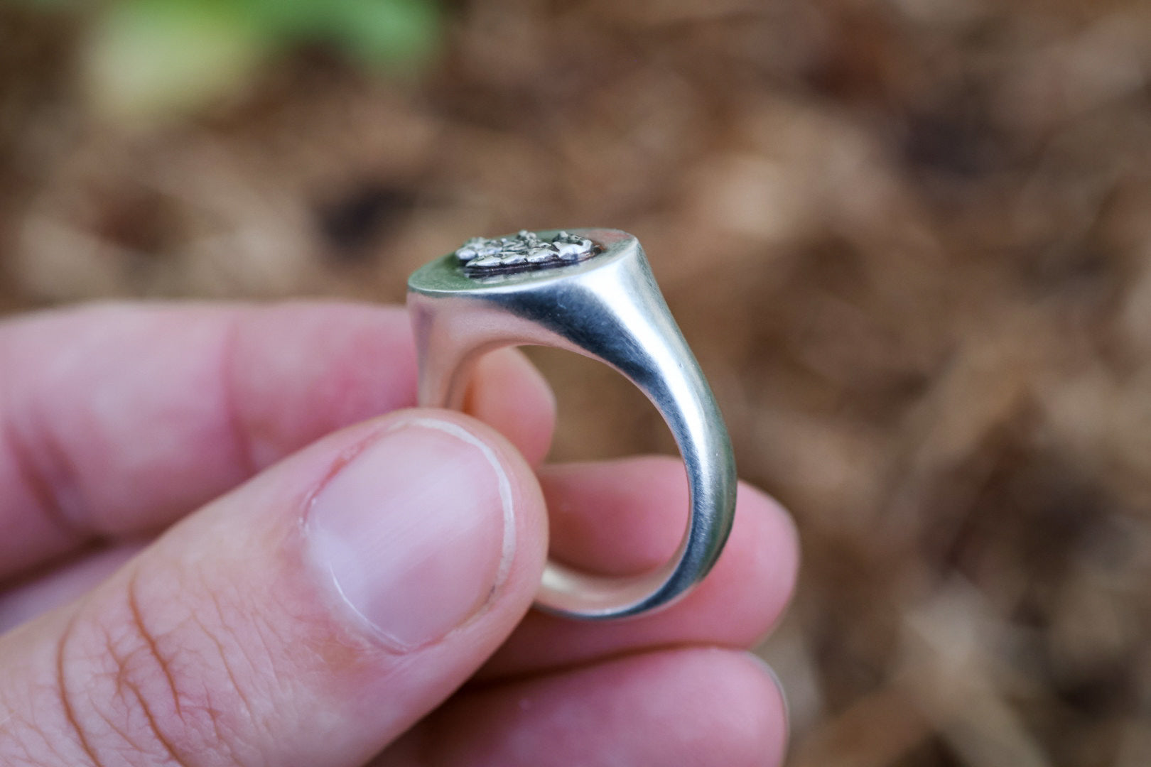 Cedar Signet Ring- Size 7