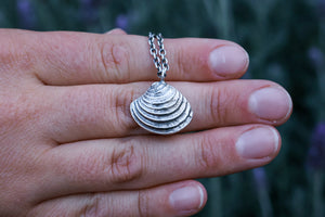 Beach Comber Cockle Shell Necklace